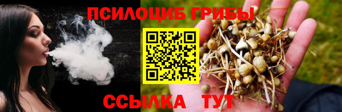 Галлюциногенные грибы MAGIC MUSHROOMS Михайловск