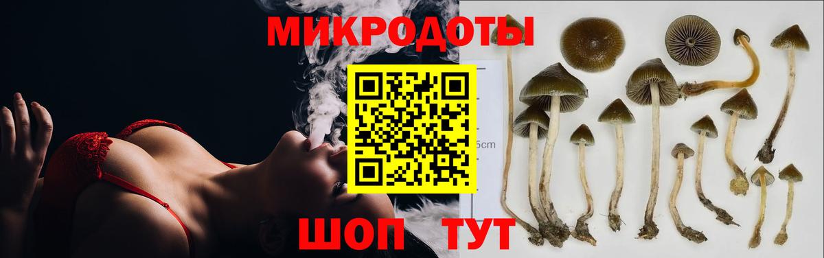 Псилоцибиновые грибы MAGIC MUSHROOMS  Вход с VPN  Михайловск 