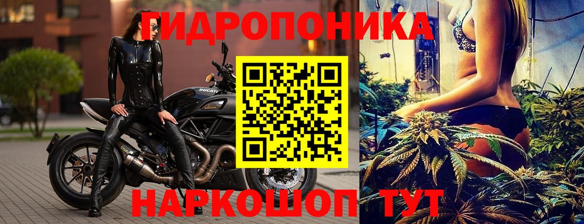 Михайловск  Бошки марихуана AK-47  Вход с VPN  Каннабис гибрид  Бошки Шишки конопля 